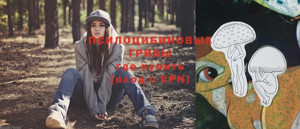 каннабис Белокуриха