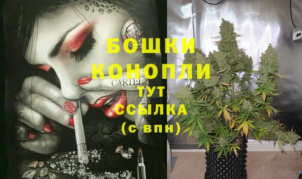 каннабис Белокуриха